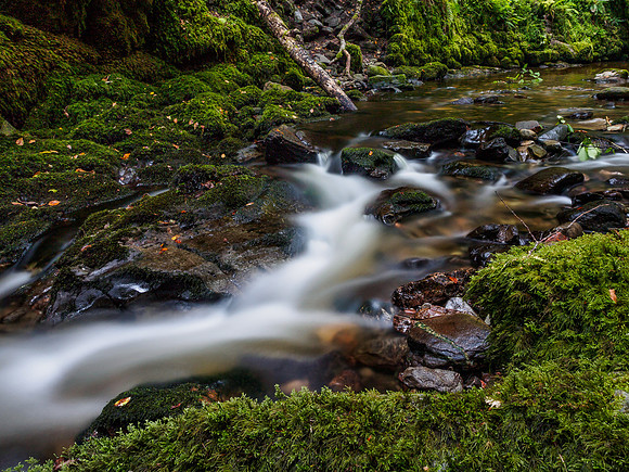 Moniack Burn 1