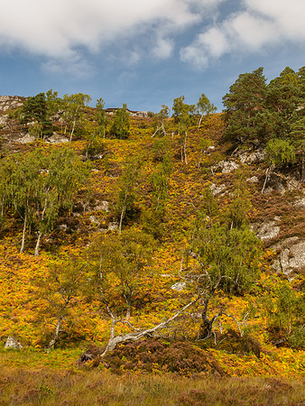 Glen Strathfarrar Colour Riot 1