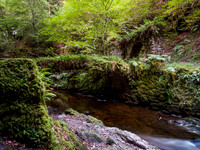 Moniack Burn 4