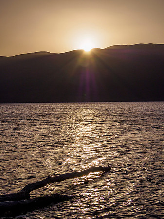 Urquhart Bay Sunrise