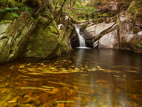 Neaty Burn 2