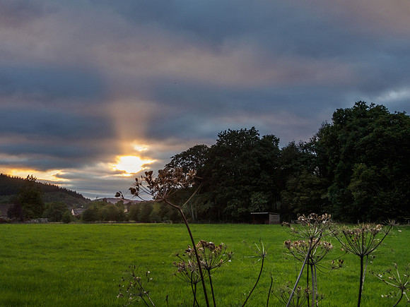 Sun's Rays