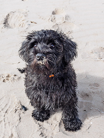 Archie Does Nairn