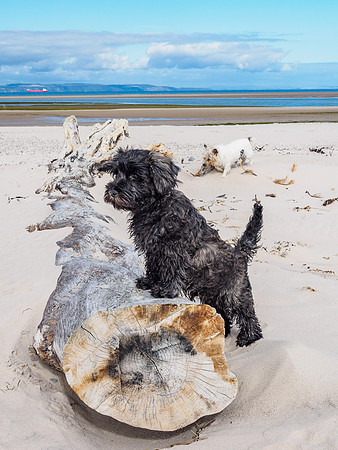 Archie and Mij do Nairn
