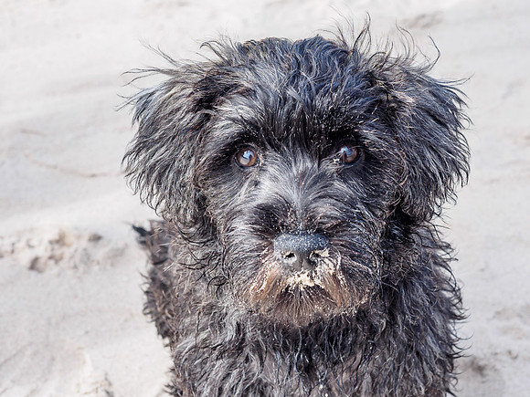 Archie Does Nairn