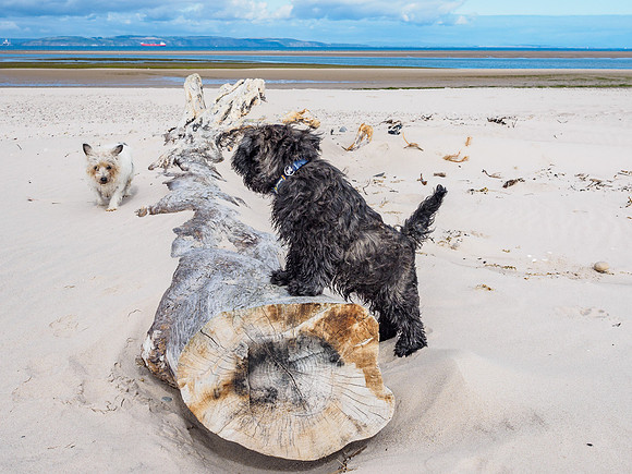 Archie and Mij do Nairn