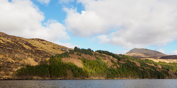 Spotlight on Loch Moreside North Plantation