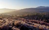 Glen Affric