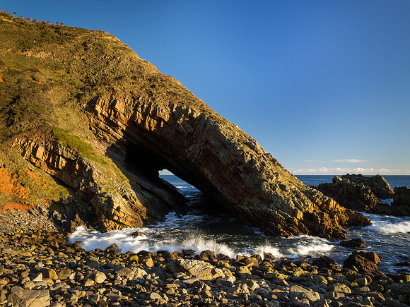Whale's Moo Cave 3