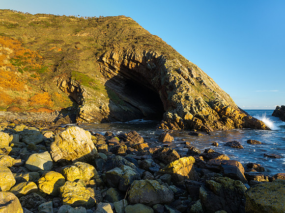 Whale's Moo Cave 2