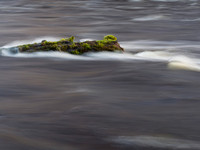 Flow - Green