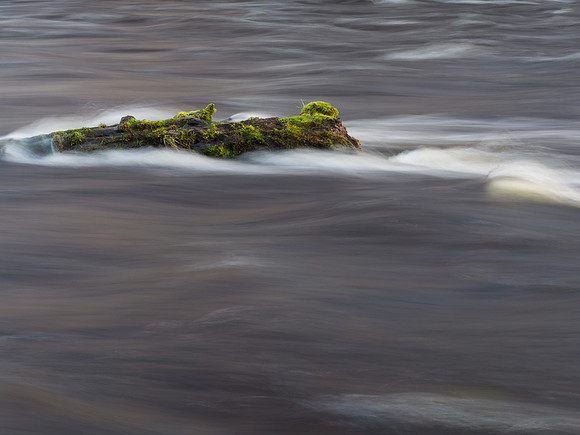 Flow - Green