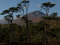 Glen Affric 2010