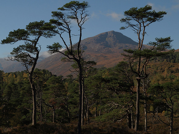 20101009-Glen Affric-PA099549