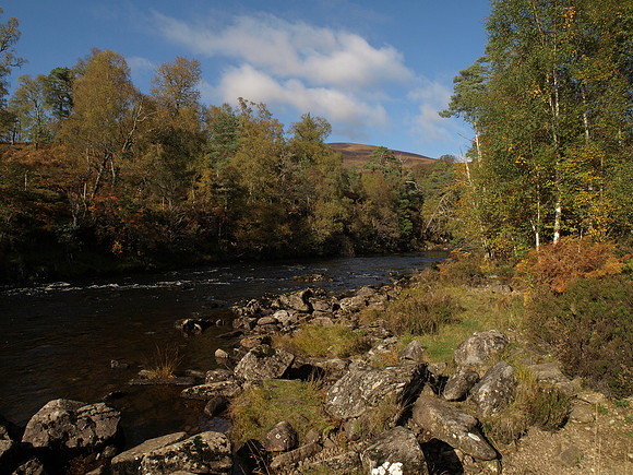 20101009-Glen Affric-PA099507