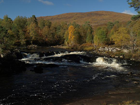 20101009-Glen Affric-PA099526
