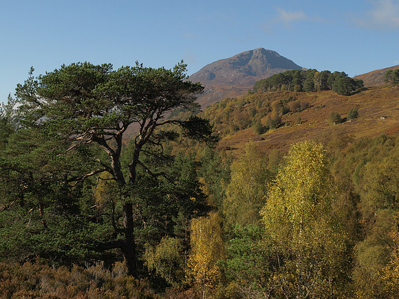 20101009-Glen Affric-PA099506