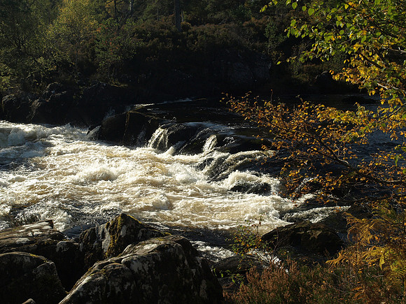 20101009-Glen Affric-PA099511
