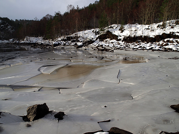 Glen Affric_2010 01 17_0295_edited-1