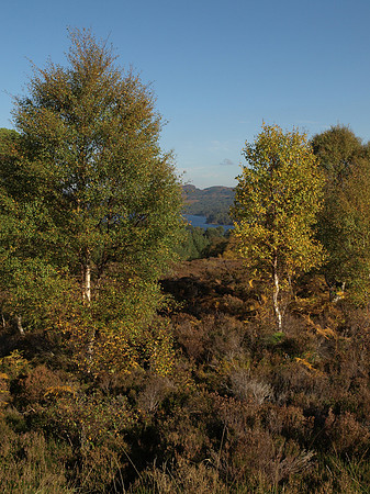 20101009-Glen Affric-PA099581