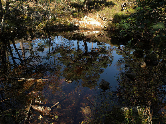 20101009-Glen Affric-PA099538