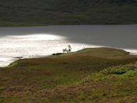 20100821-untitled-P8219017