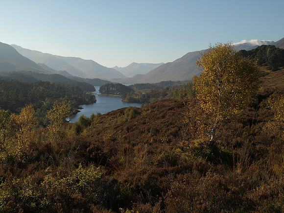 20101009-Glen Affric-PA099569