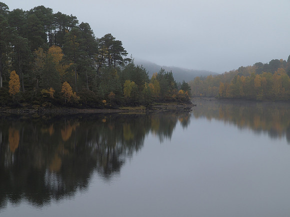 20101022-22 - Glen Affric-PA229816