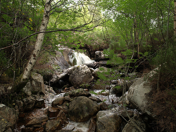 20100821-untitled-P8218999
