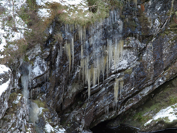 Glen Affric_2010 02 20_2656