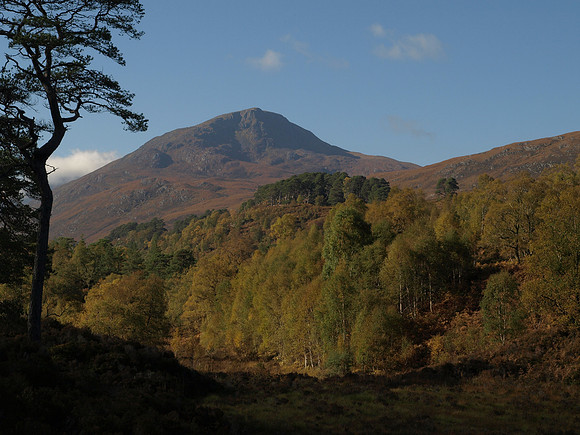 20101009-Glen Affric-PA099553