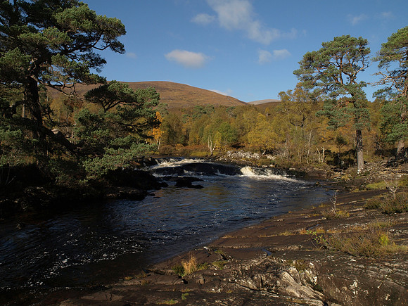 20101009-Glen Affric-PA099533