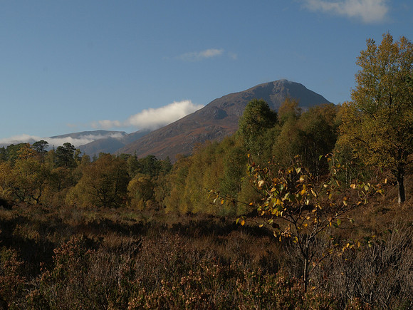 20101009-Glen Affric-PA099560