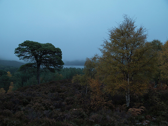 20101022-22 - Glen Affric-PA229802