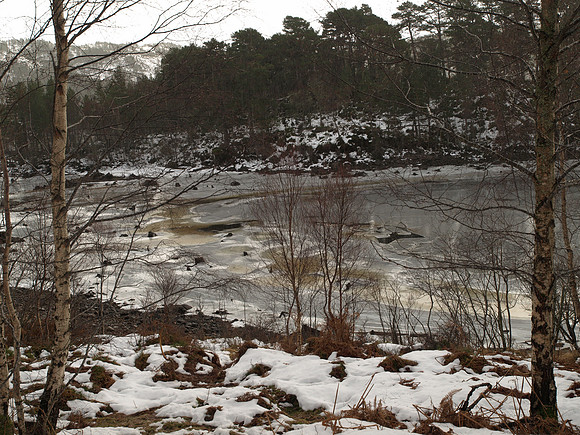 Glen Affric_2010 01 17_0284