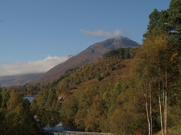 20101009-Glen Affric-PA099496