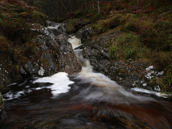 20101022-22 - Glen Affric-PA229820