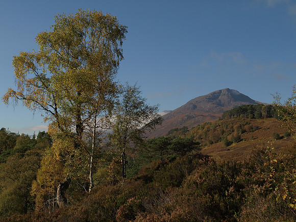 20101009-Glen Affric-PA099503
