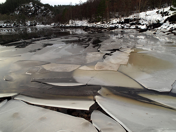 Glen Affric_2010 01 17_0287_edited-1