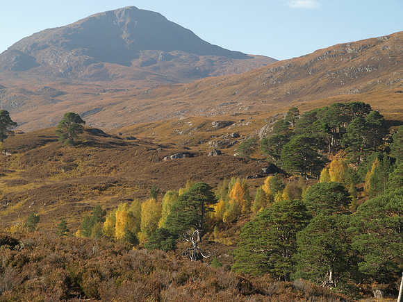 20101009-Glen Affric-PA099578