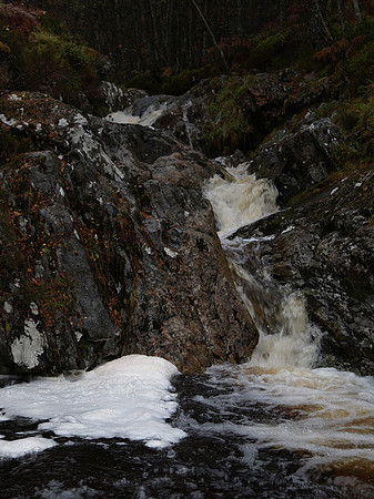 20101022-22 - Glen Affric-PA229826