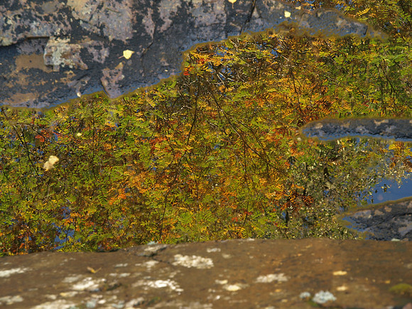 20101009-Glen Affric-PA099587
