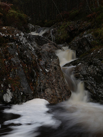20101022-22 - Glen Affric-PA229823