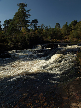 20101009-Glen Affric-PA099518
