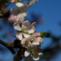 May 2012