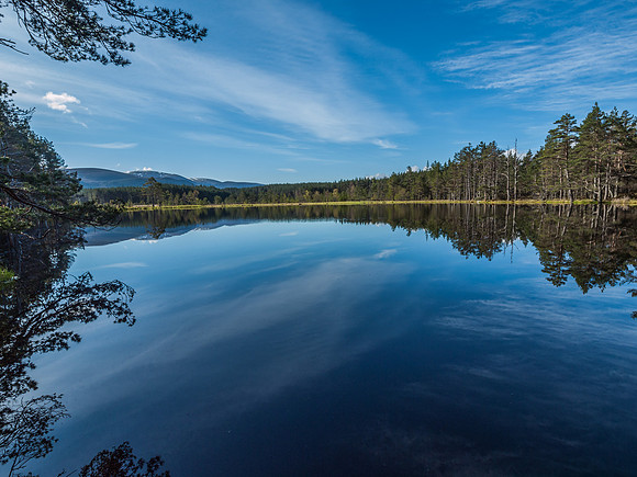 20120520-Cairngorm-Q5203689