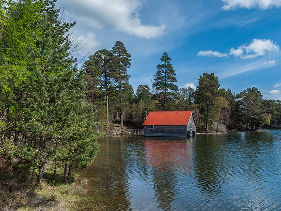 20120520-Cairngorm-Q5203716