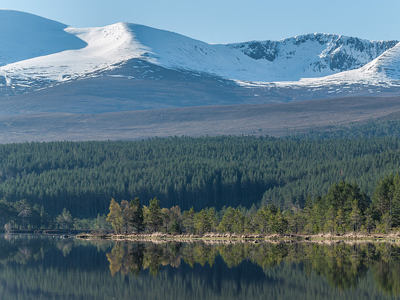 20120520-Cairngorm-Q5203679