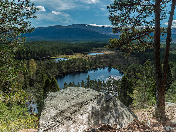 20120520-Cairngorm-Q5203709