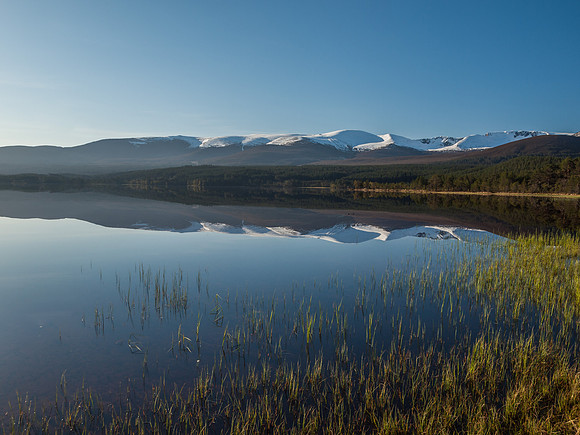 20120520-Cairngorm-Q5203657